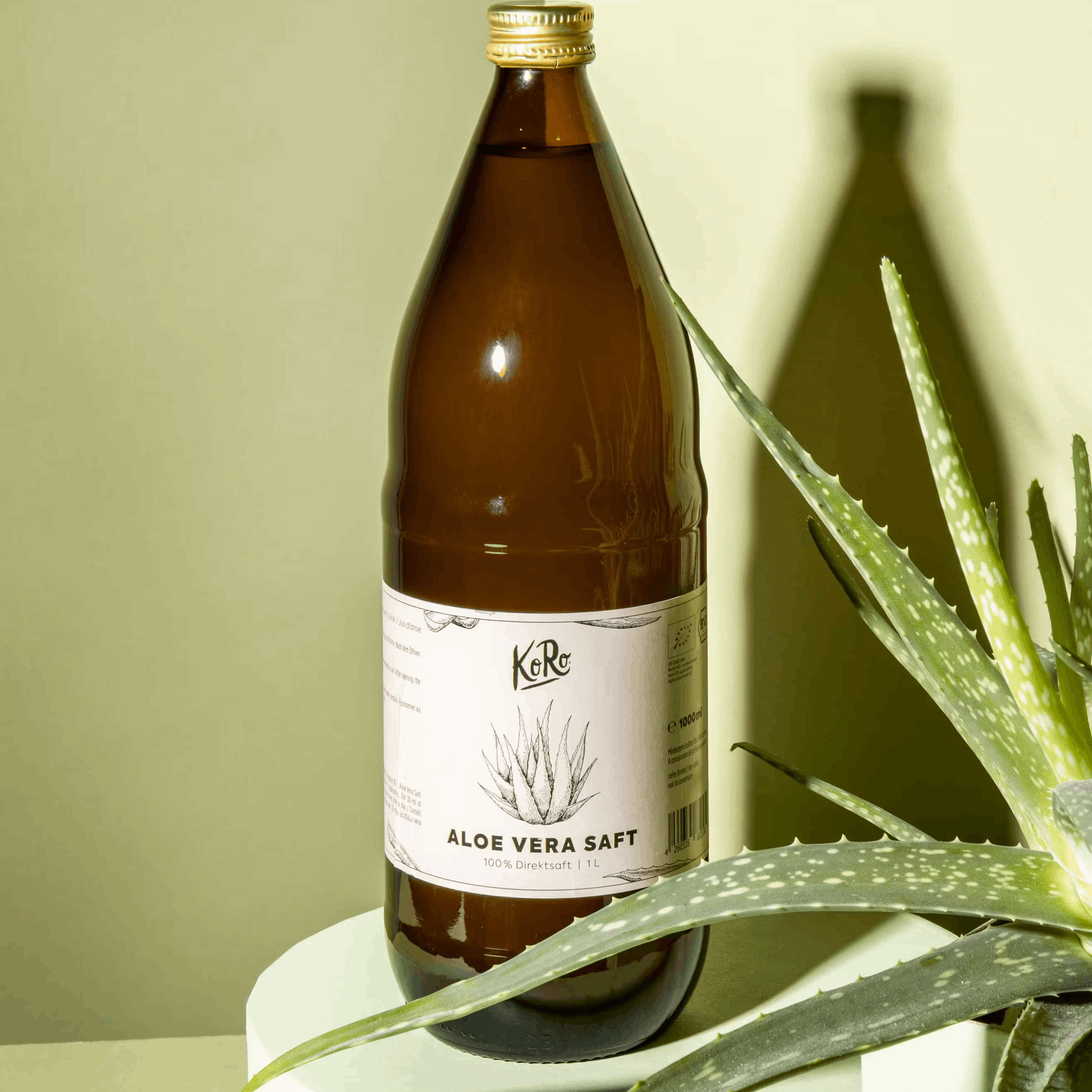 Aloe Vera Saft